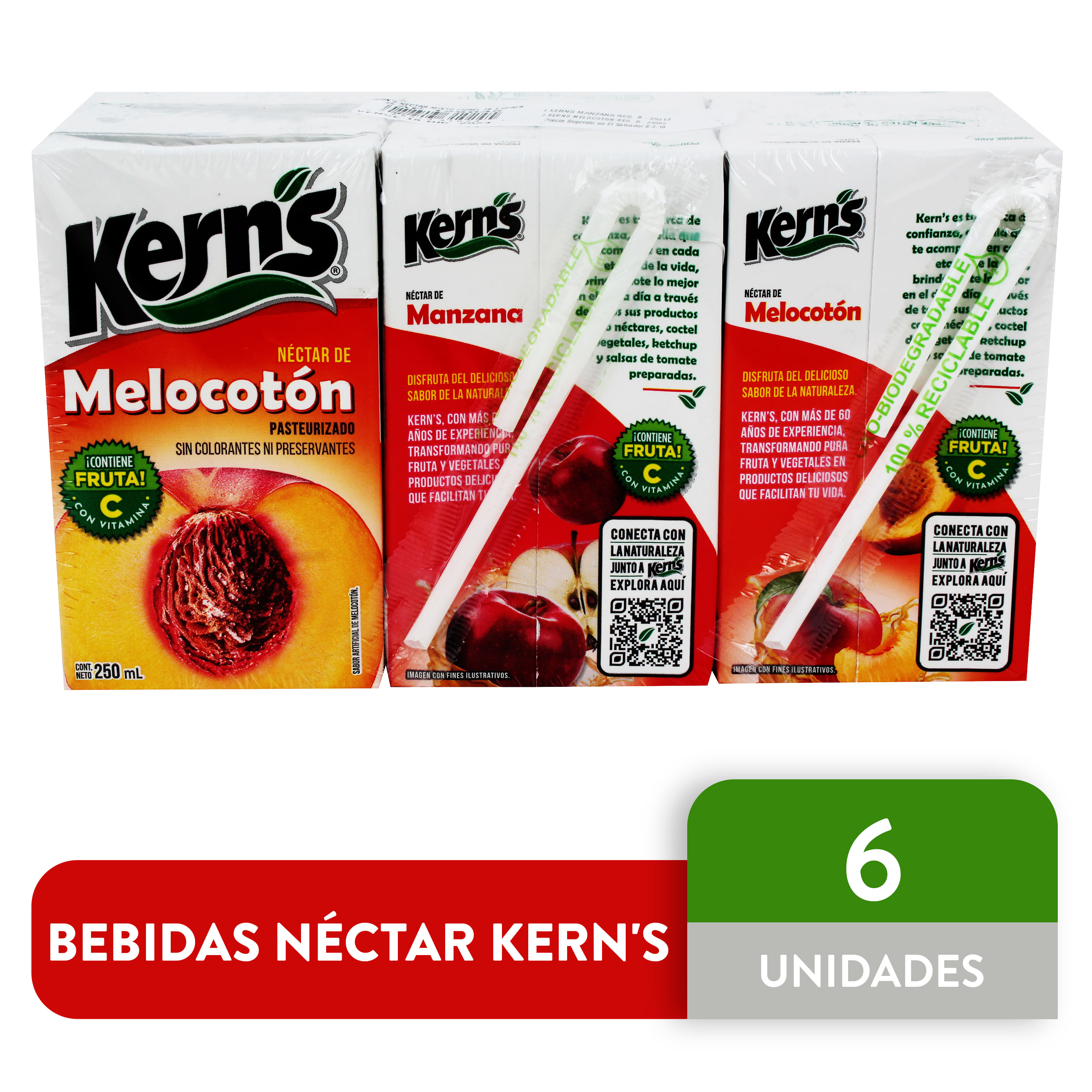 6 Pack Nectar Kerns Tetrabrick - 250 ml