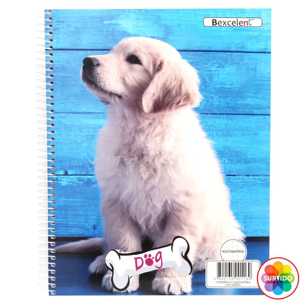Cuaderno Bexcelent Espiral Multimaterias- 300 Hojas