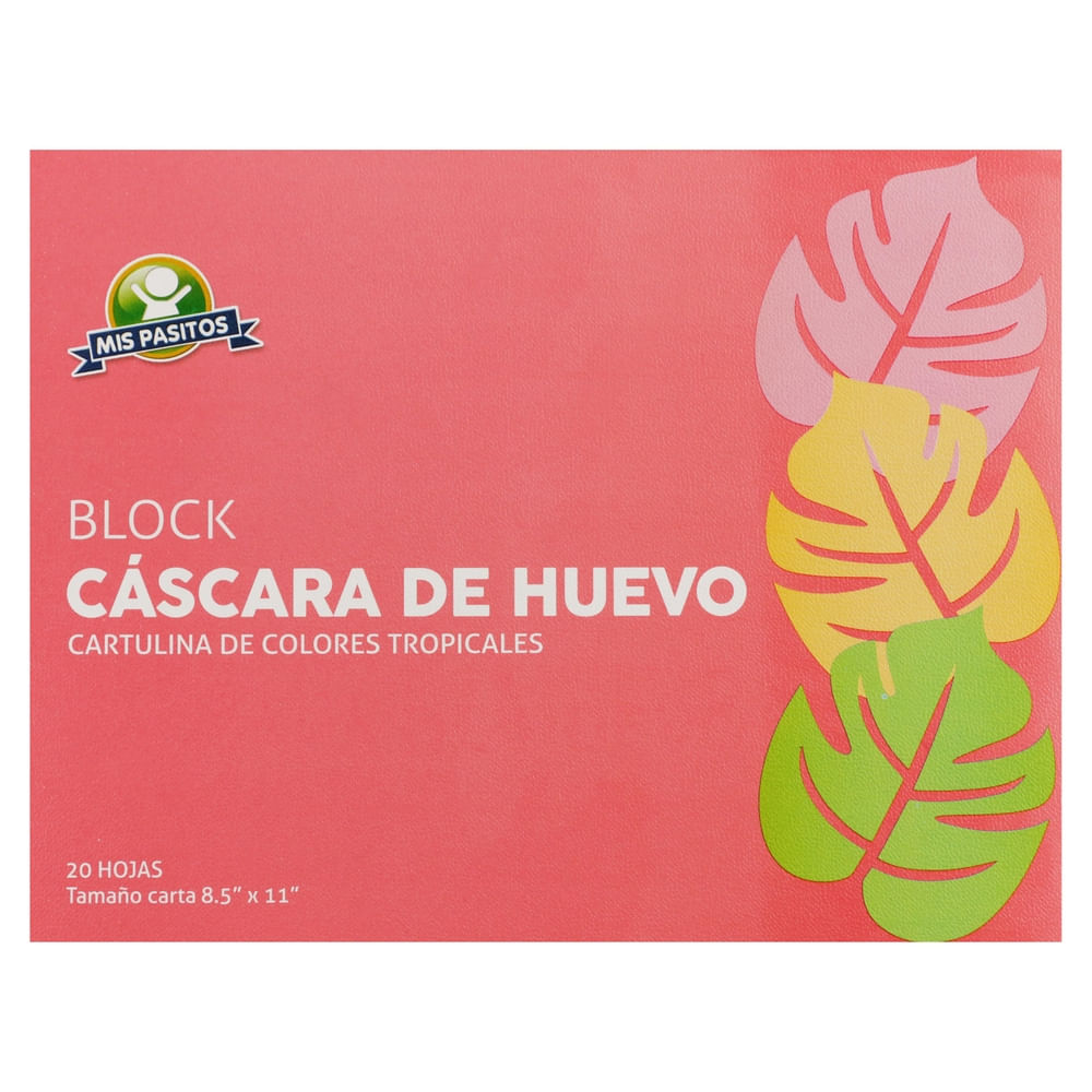 Block Mis Pasitos Cartulina Tropical Carta- 20 Hojas