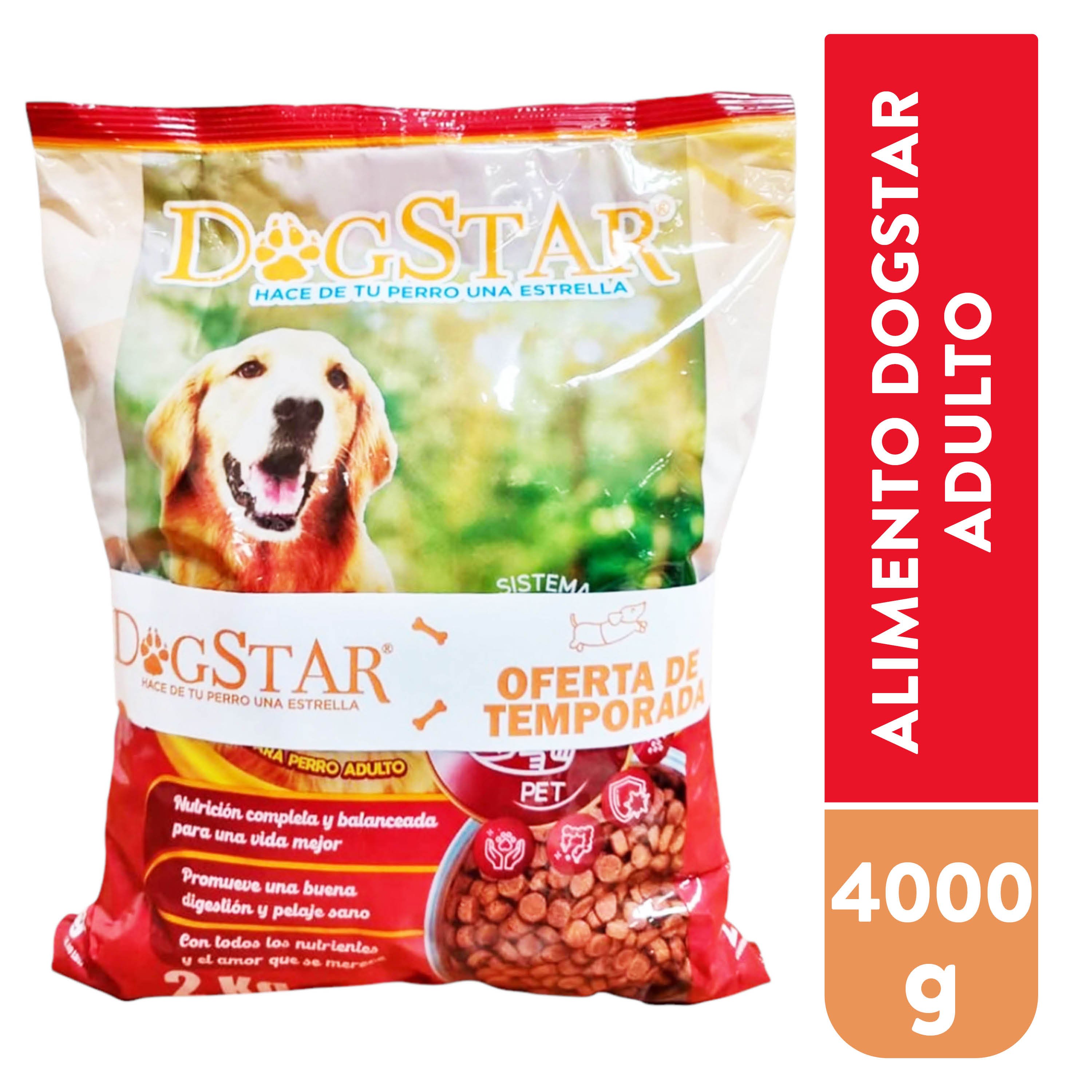 Alimento Dogstar Adulto 4kg